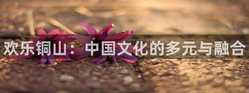 顺盈娱乐