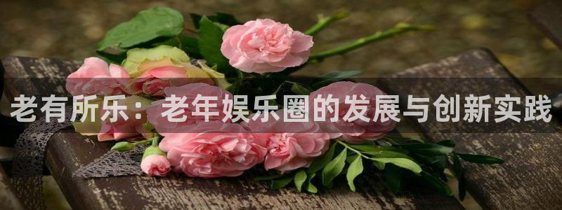 顺盈娱乐