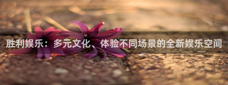 顺盈娱乐