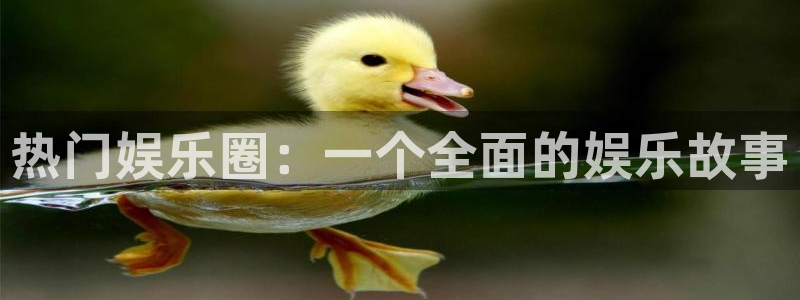 顺盈娱乐