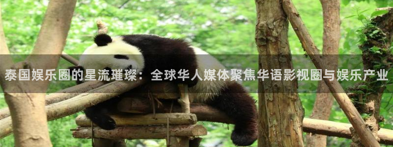 顺盈娱乐