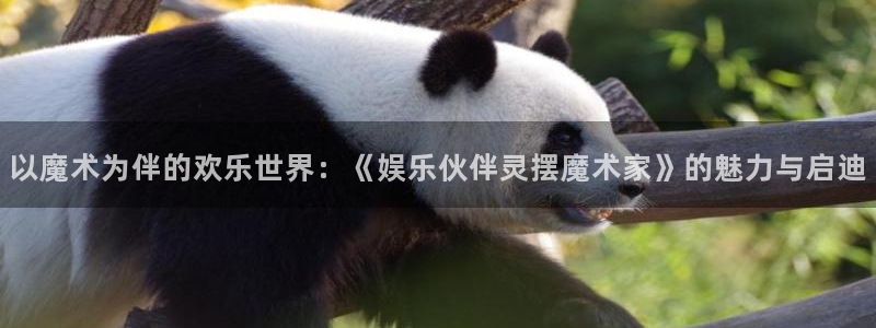 顺盈娱乐
